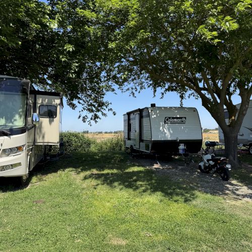 A parked RV and trailer under a tree on grass, with a sunny background.