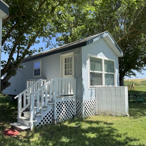A small, light blue house with white stairs and a door, surrounded by trees and grass, under a clear blue sky.