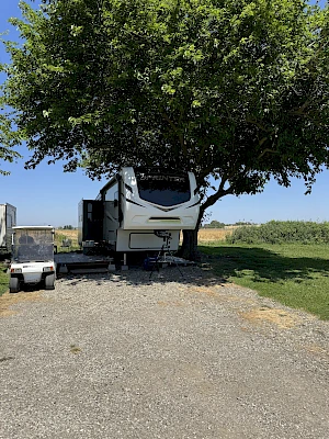 An RV is parked under a large tree on a gravel area next to a grassy field, with a small vehicle nearby.