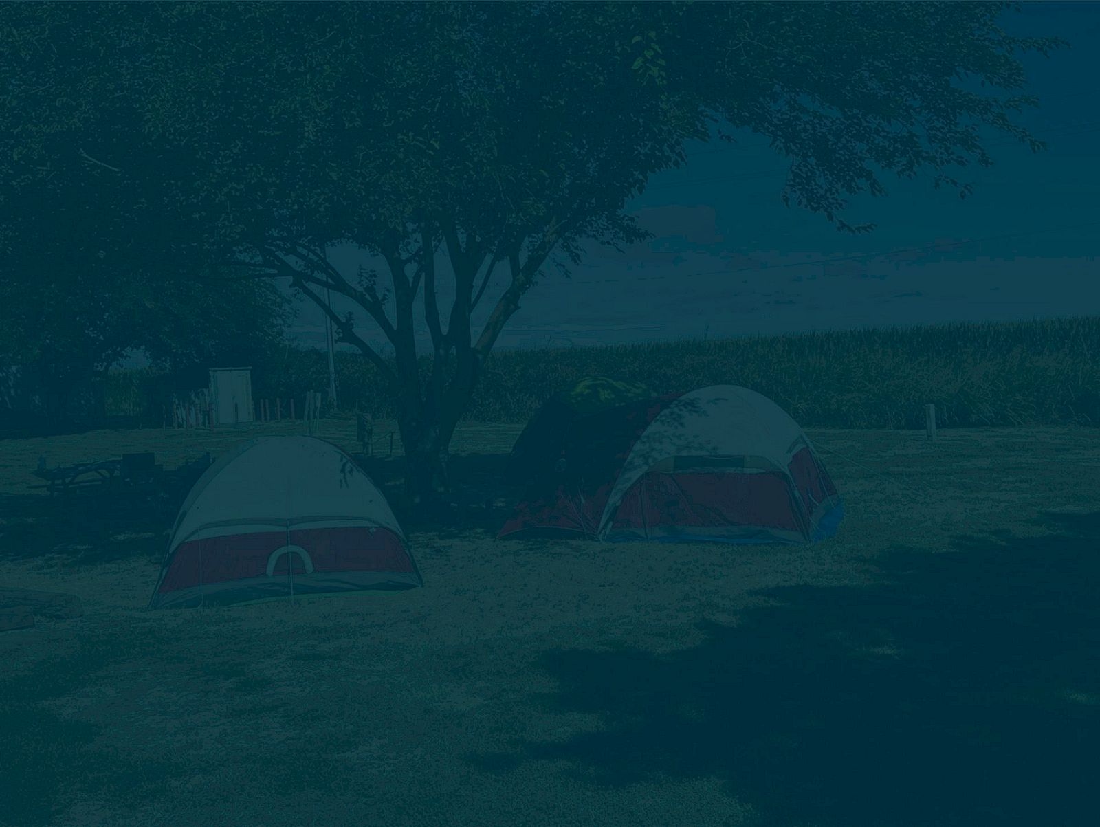 The image shows a campsite with three tents set up on grassy ground near a tree, in an outdoor setting.